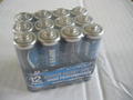 CPE-AA12:  AA Battery 12 Pack